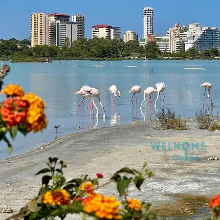 Orquidea Comodo Apartamento: Vista Al Mar, Piscina, Parking Apartment