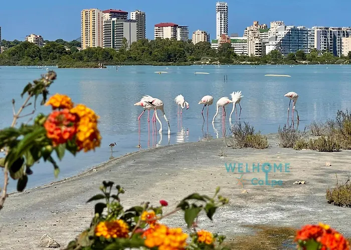 Orquidea Comodo Apartamento: Vista Al Mar, Piscina, Parking 아파트